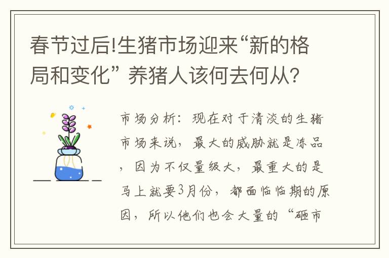 春节过后!生猪市场迎来“新的格局和变化” 养猪人该何去何从？