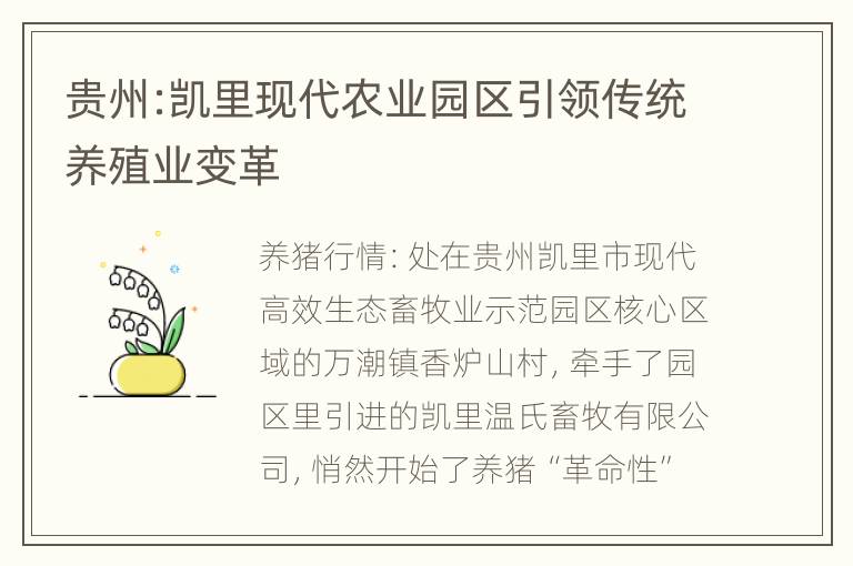 贵州:凯里现代农业园区引领传统养殖业变革