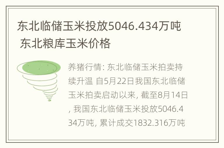 东北临储玉米投放5046.434万吨 东北粮库玉米价格