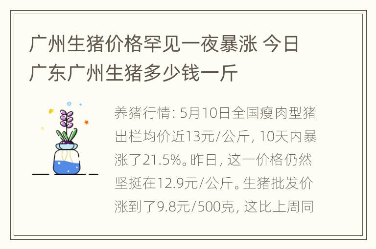 广州生猪价格罕见一夜暴涨 今日广东广州生猪多少钱一斤