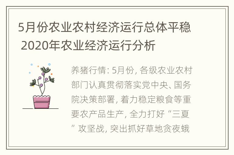 5月份农业农村经济运行总体平稳 2020年农业经济运行分析