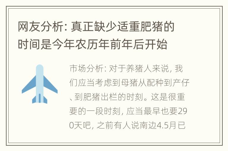 网友分析：真正缺少适重肥猪的时间是今年农历年前年后开始