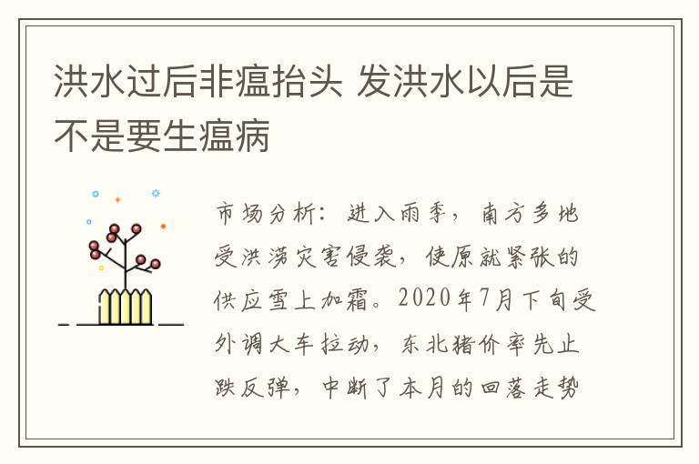 洪水过后非瘟抬头 发洪水以后是不是要生瘟病