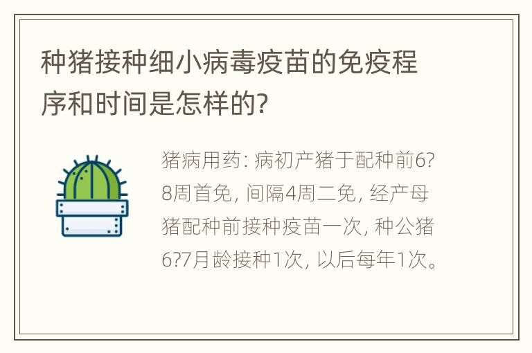 种猪接种细小病毒疫苗的免疫程序和时间是怎样的？