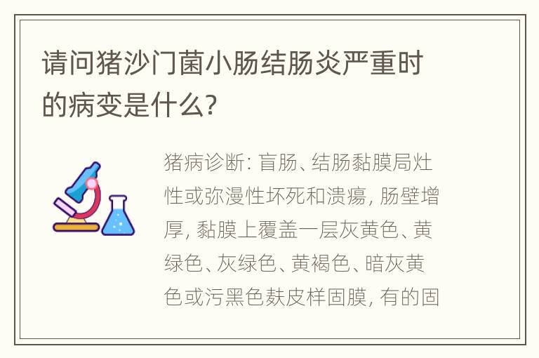 请问猪沙门菌小肠结肠炎严重时的病变是什么？