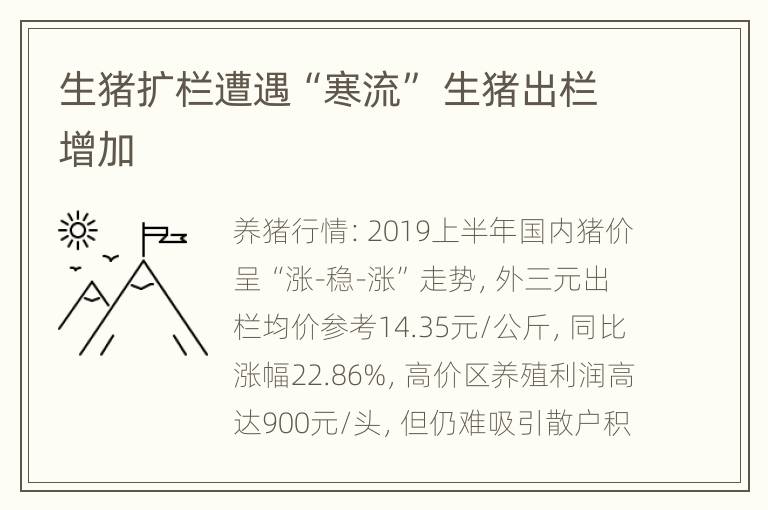 生猪扩栏遭遇“寒流” 生猪出栏增加