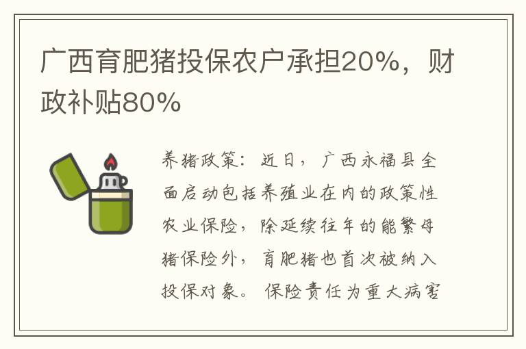 广西育肥猪投保农户承担20%，财政补贴80%