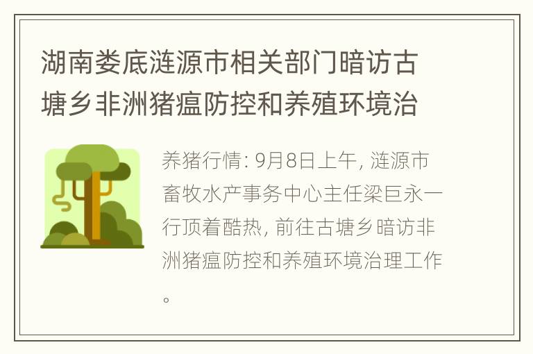 湖南娄底涟源市相关部门暗访古塘乡非洲猪瘟防控和养殖环境治理工