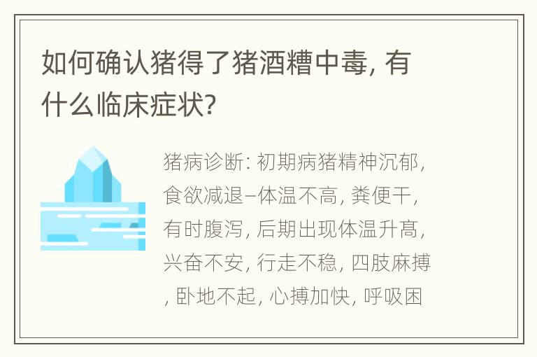 如何确认猪得了猪酒糟中毒，有什么临床症状？