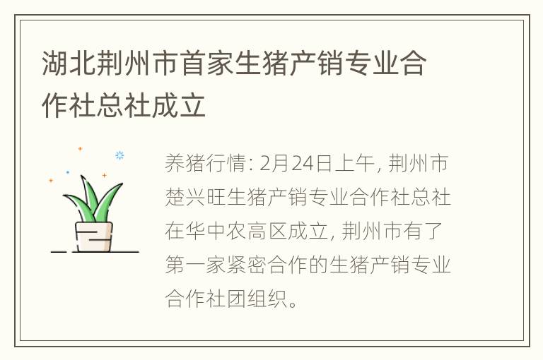 湖北荆州市首家生猪产销专业合作社总社成立