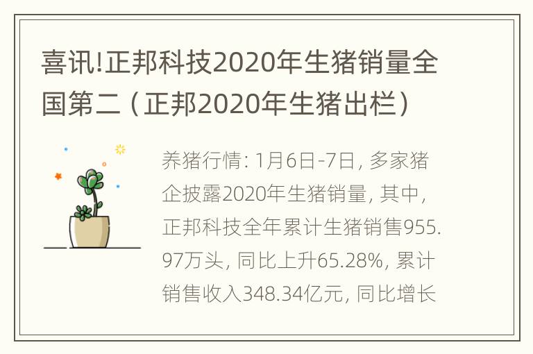 喜讯!正邦科技2020年生猪销量全国第二（正邦2020年生猪出栏）