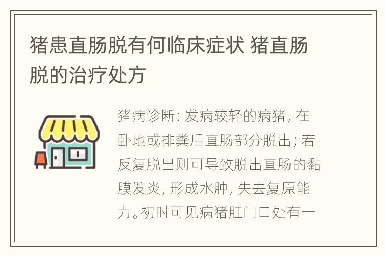 猪患直肠脱有何临床症状 猪直肠脱的治疗处方