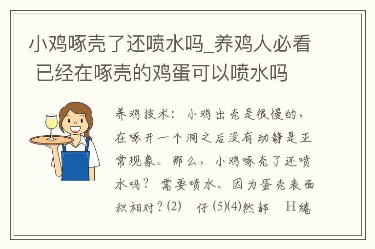 小鸡啄壳了还喷水吗_养鸡人必看 已经在啄壳的鸡蛋可以喷水吗