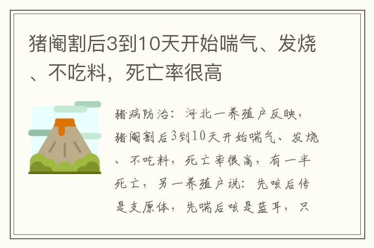 猪阉割后3到10天开始喘气、发烧、不吃料，死亡率很高