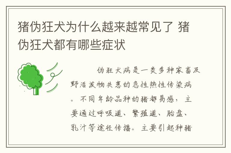 猪伪狂犬为什么越来越常见了 猪伪狂犬都有哪些症状