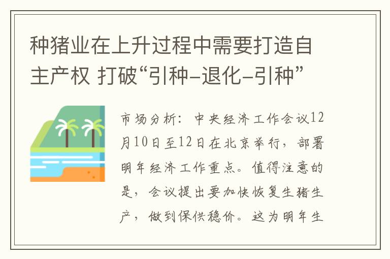 种猪业在上升过程中需要打造自主产权 打破“引种-退化-引种”怪