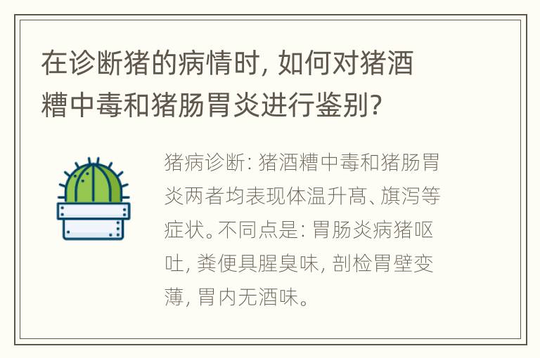 在诊断猪的病情时，如何对猪酒糟中毒和猪肠胃炎进行鉴别？