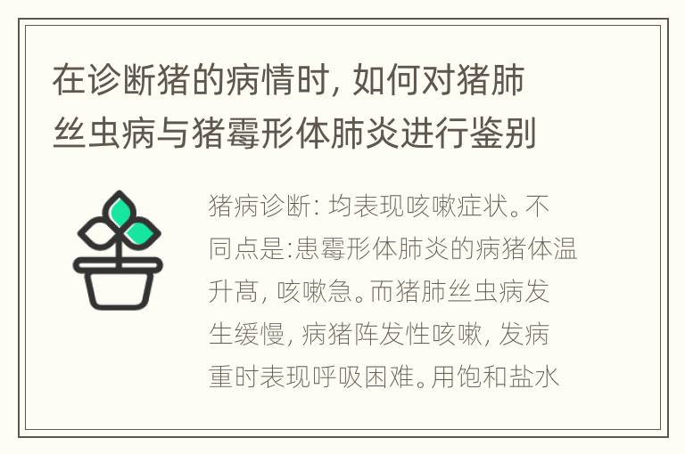 在诊断猪的病情时，如何对猪肺丝虫病与猪霉形体肺炎进行鉴别？