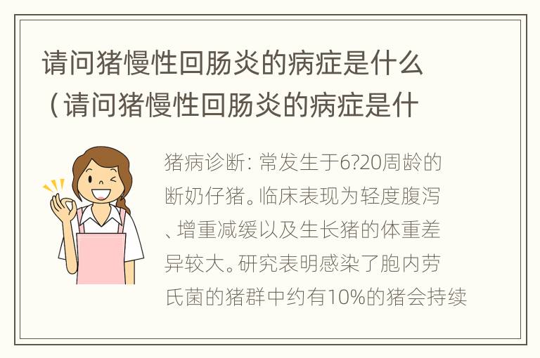 请问猪慢性回肠炎的病症是什么（请问猪慢性回肠炎的病症是什么样的）