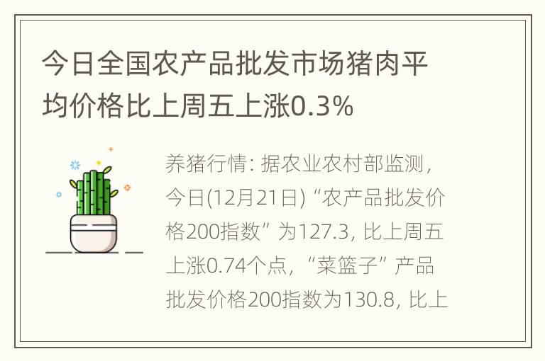 今日全国农产品批发市场猪肉平均价格比上周五上涨0.3%