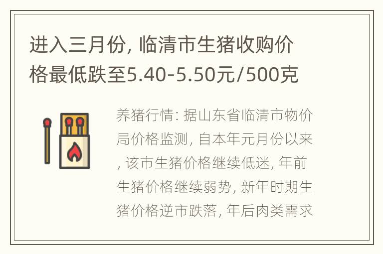 进入三月份，临清市生猪收购价格最低跌至5.40-5.50元/500克