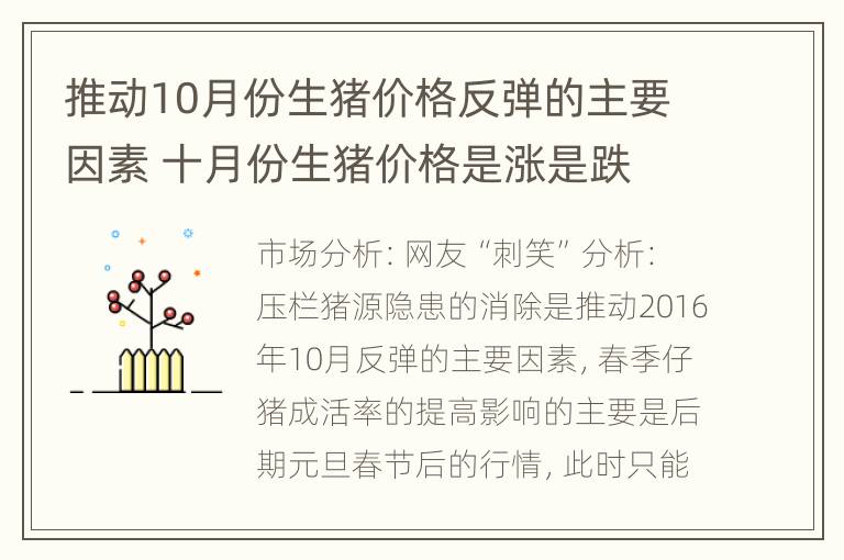 推动10月份生猪价格反弹的主要因素 十月份生猪价格是涨是跌