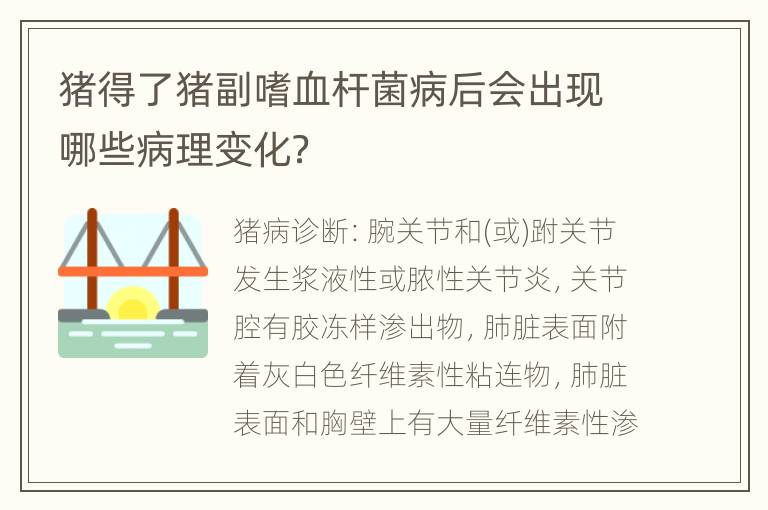 猪得了猪副嗜血杆菌病后会出现哪些病理变化？