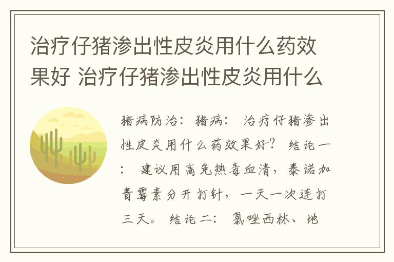 治疗仔猪渗出性皮炎用什么药效果好 治疗仔猪渗出性皮炎用什么药效果好呢