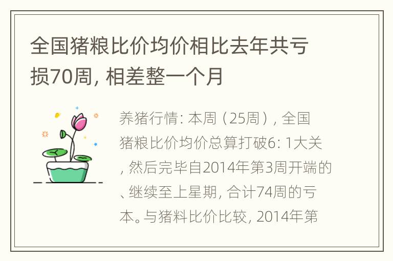 全国猪粮比价均价相比去年共亏损70周，相差整一个月