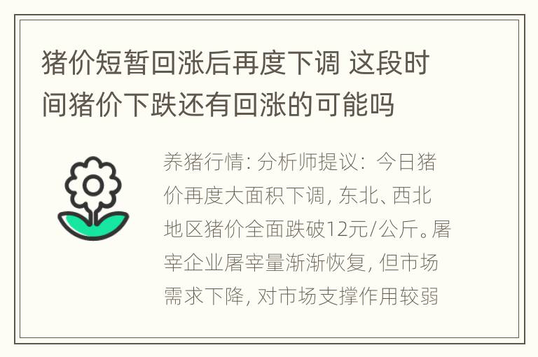 猪价短暂回涨后再度下调 这段时间猪价下跌还有回涨的可能吗