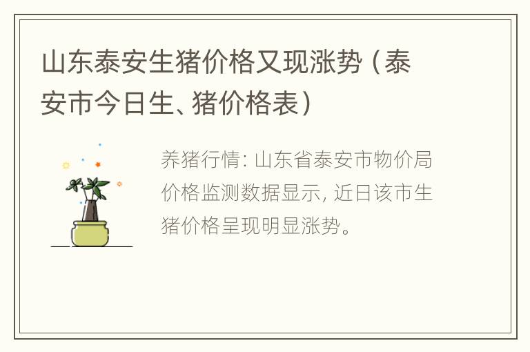 山东泰安生猪价格又现涨势（泰安市今日生、猪价格表）