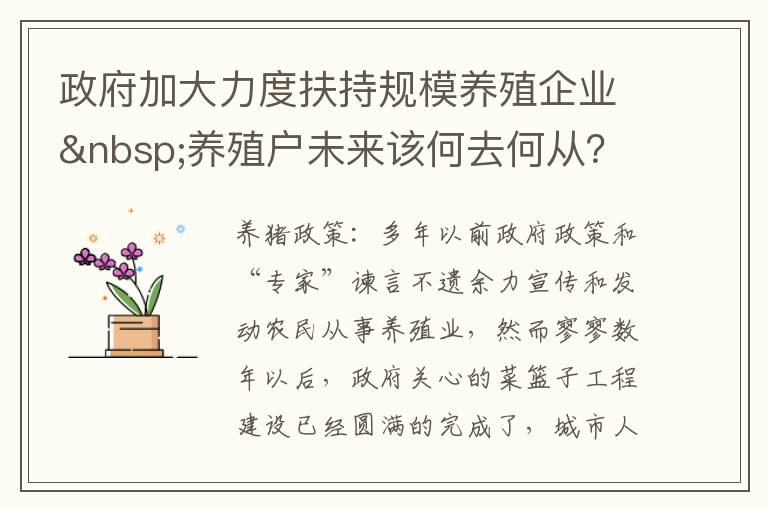 政府加大力度扶持规模养殖企业 养殖户未来该何去何从？