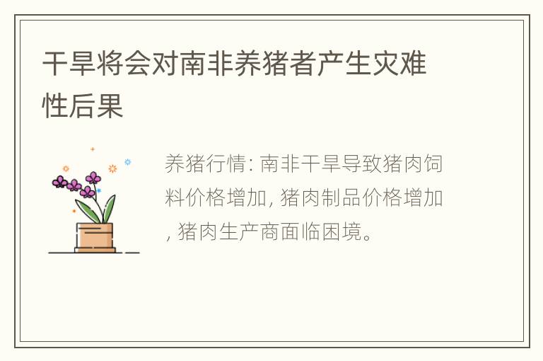 干旱将会对南非养猪者产生灾难性后果