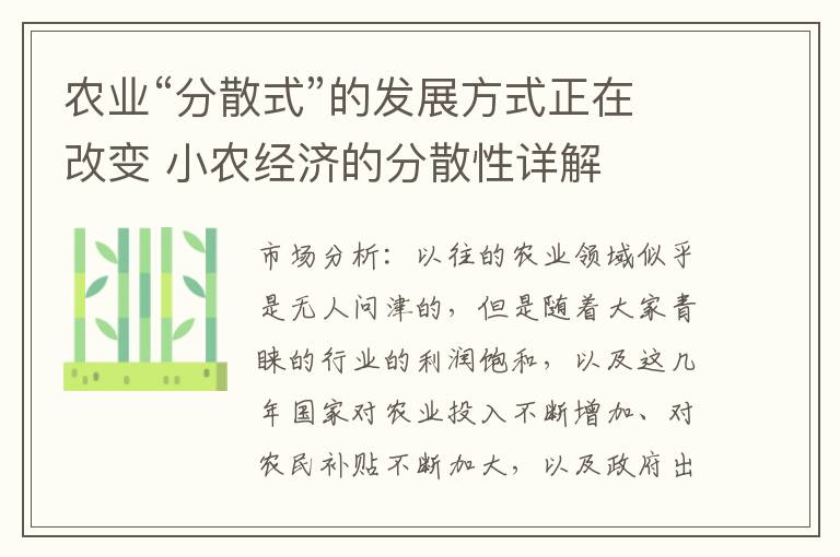 农业“分散式”的发展方式正在改变 小农经济的分散性详解