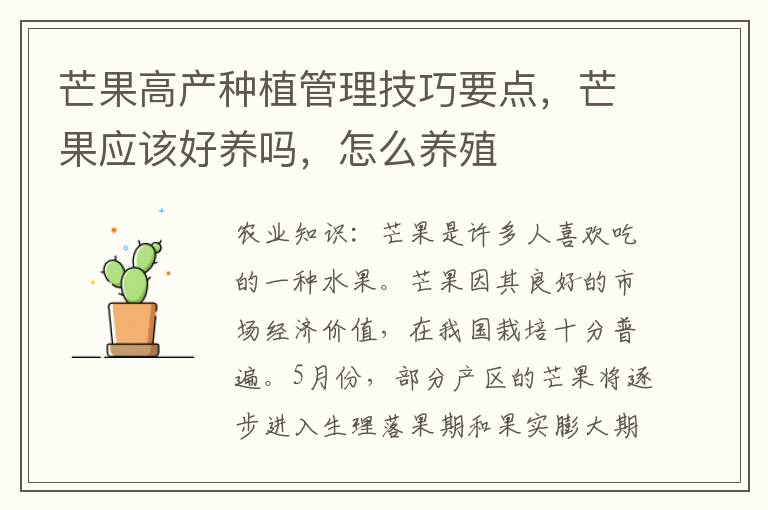 芒果高产种植管理技巧要点，芒果应该好养吗，怎么养殖