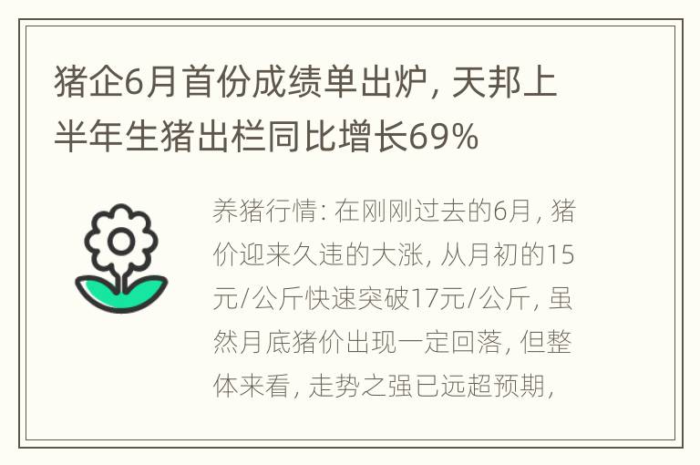 猪企6月首份成绩单出炉，天邦上半年生猪出栏同比增长69%