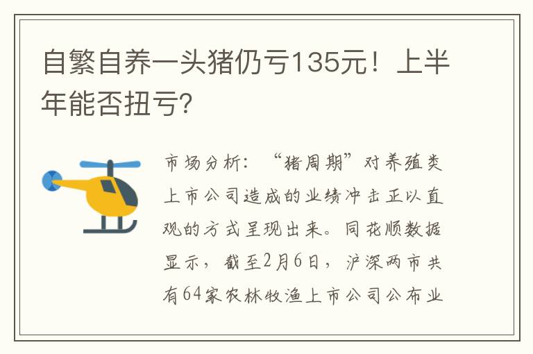 自繁自养一头猪仍亏135元！上半年能否扭亏？