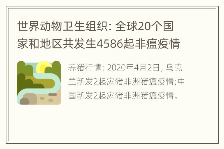 世界动物卫生组织：全球20个国家和地区共发生4586起非瘟疫情