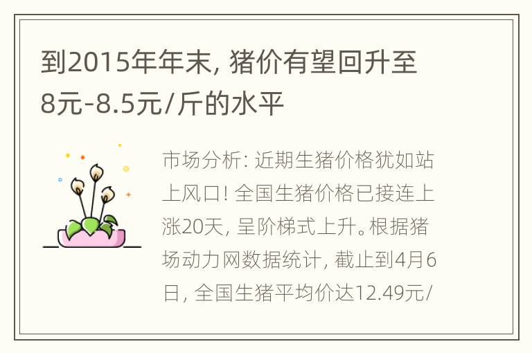 到2015年年末，猪价有望回升至8元-8.5元/斤的水平