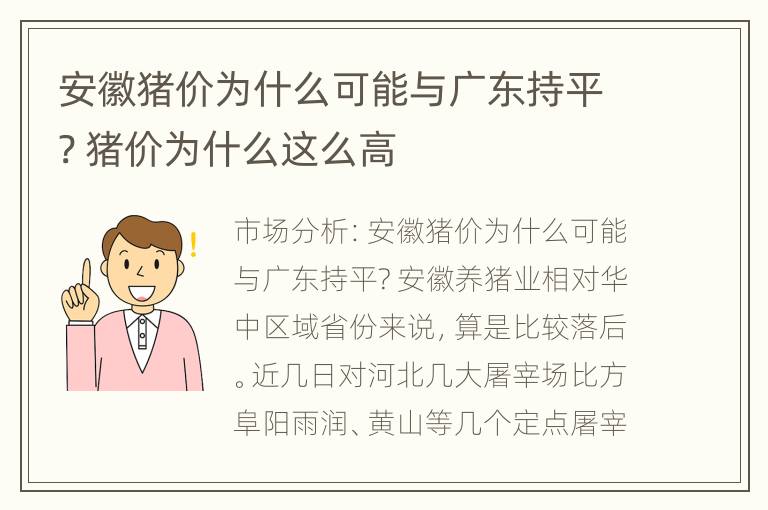 安徽猪价为什么可能与广东持平? 猪价为什么这么高