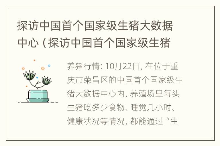 探访中国首个国家级生猪大数据中心（探访中国首个国家级生猪大数据中心名单）