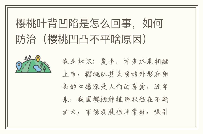 樱桃叶背凹陷是怎么回事，如何防治（樱桃凹凸不平啥原因）