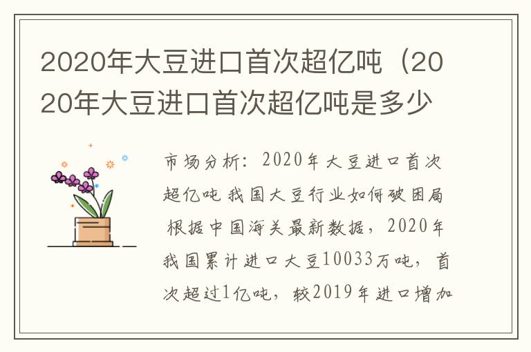 2020年大豆进口首次超亿吨（2020年大豆进口首次超亿吨是多少）