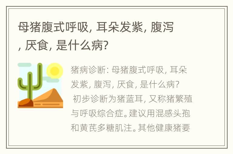 母猪腹式呼吸，耳朵发紫，腹泻，厌食，是什么病？