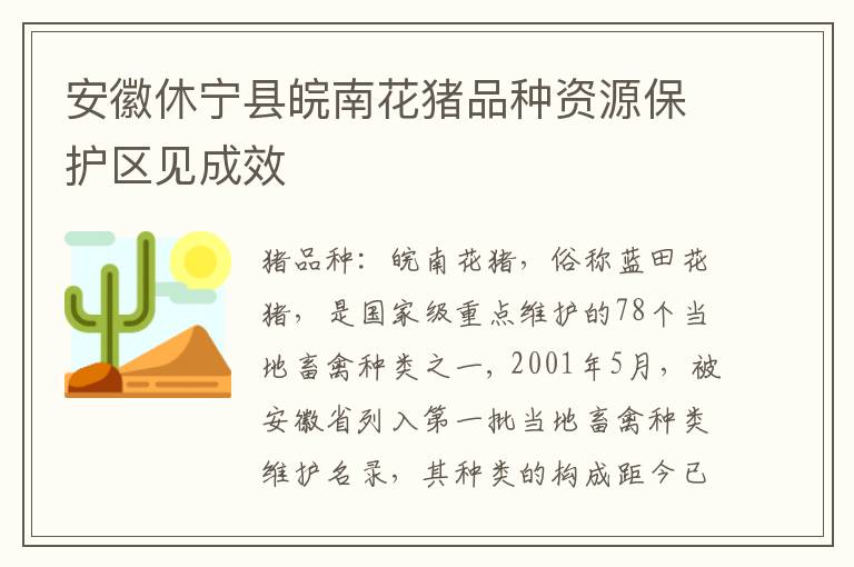 安徽休宁县皖南花猪品种资源保护区见成效