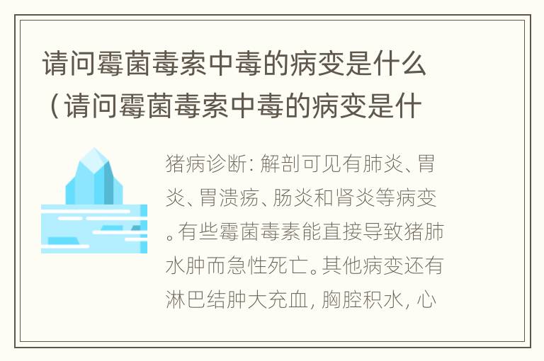 请问霉菌毒索中毒的病变是什么（请问霉菌毒索中毒的病变是什么意思）