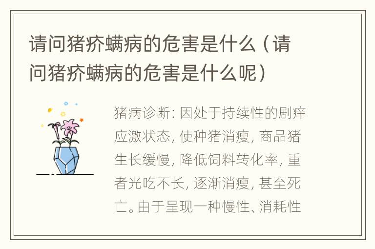 请问猪疥螨病的危害是什么（请问猪疥螨病的危害是什么呢）