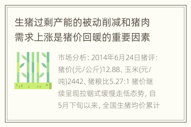 生猪过剩产能的被动削减和猪肉需求上涨是猪价回暖的重要因素