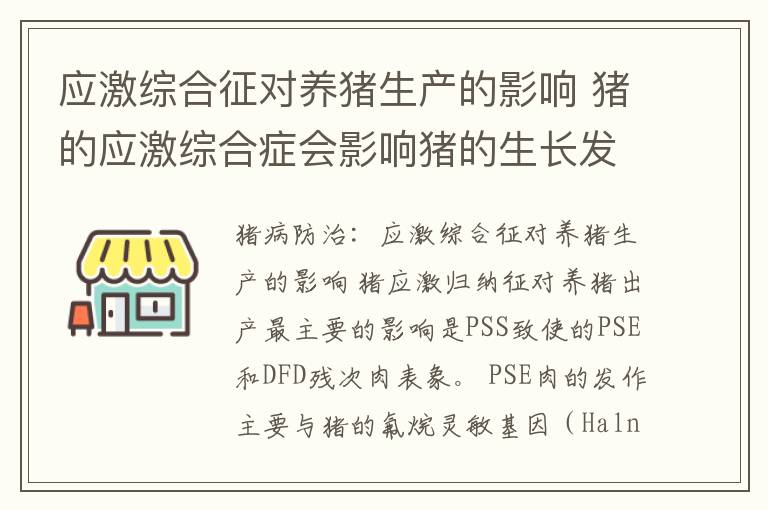 应激综合征对养猪生产的影响 猪的应激综合症会影响猪的生长发育吗