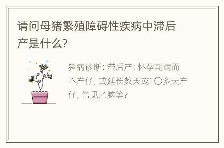 请问母猪繁殖障碍性疾病中滞后产是什么？